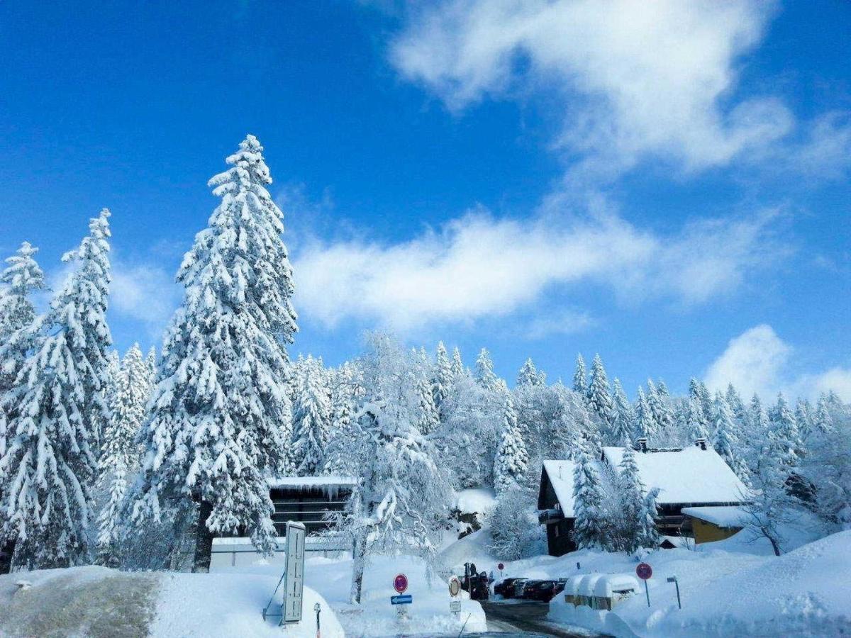 Апартаменты H&P Touristik Residenz Grafenmatt Gra-3-1 Фельдберг Экстерьер фото