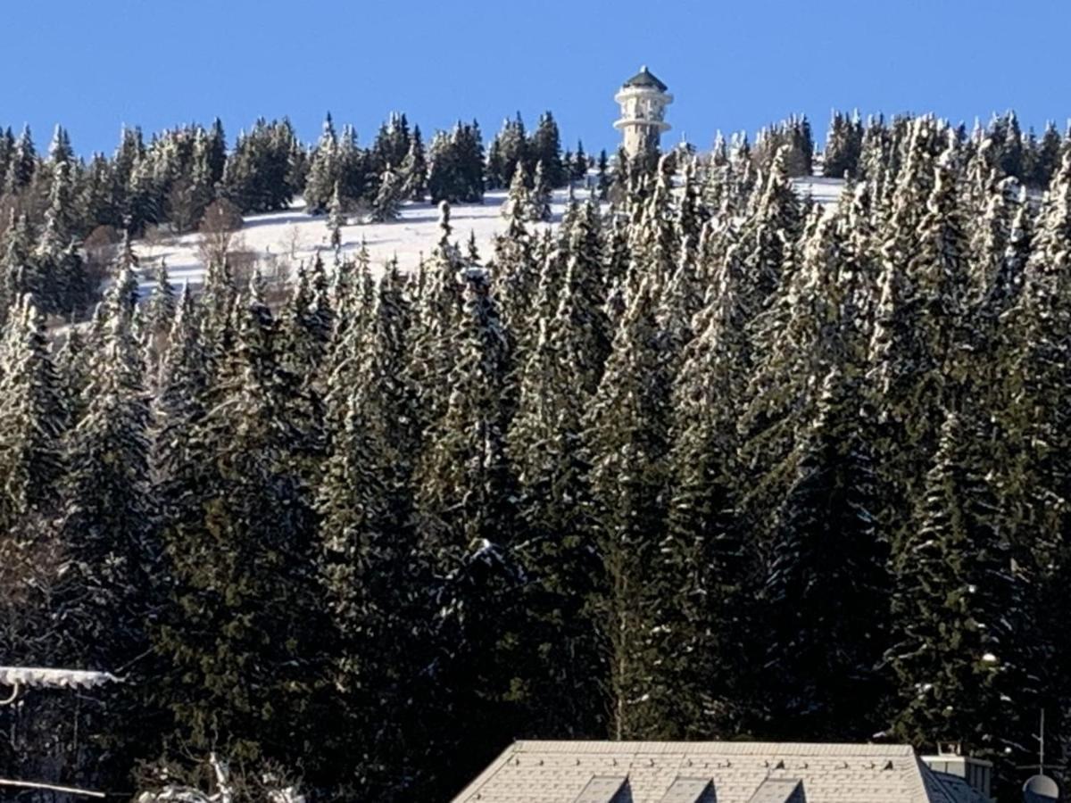 Апартаменты H&P Touristik Residenz Grafenmatt Gra-3-1 Фельдберг Экстерьер фото